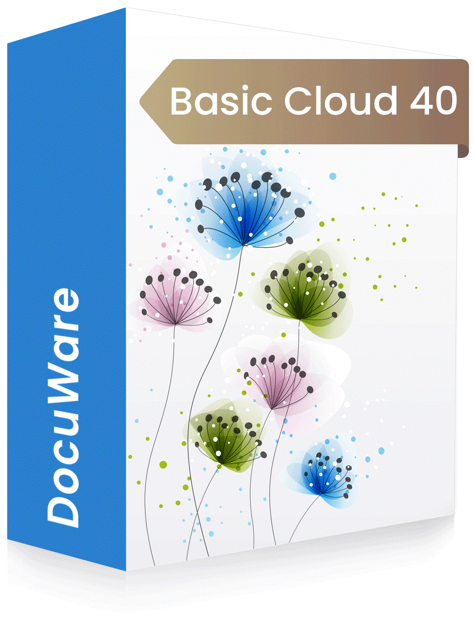 Docuware Basic Cloud 40 Zusatzspeicher, je 10 GB